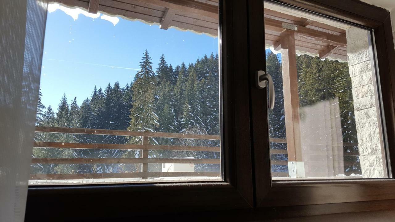 Apartament Andra Poiana Brasov Eksteriør billede