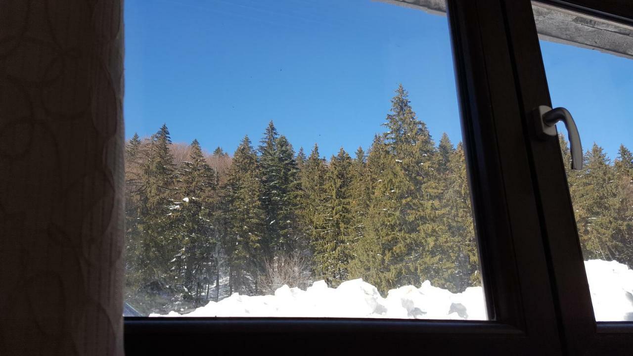 Apartament Andra Poiana Brasov Eksteriør billede