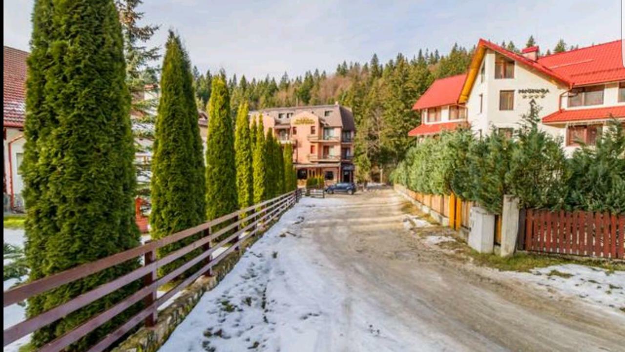 Apartament Andra Poiana Brasov Eksteriør billede
